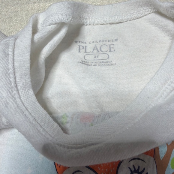 Zara Embroidered Short and Childs Place Tee 3T - Picture 4 of 5